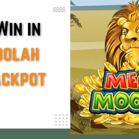 How To Win in Mega Moolah Mega Jackpot Slot?